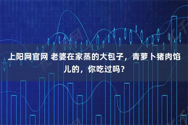 上阳网官网 老婆在家蒸的大包子，青萝卜猪肉馅儿的，你吃过吗？