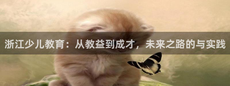 fh至尊平台多少年了