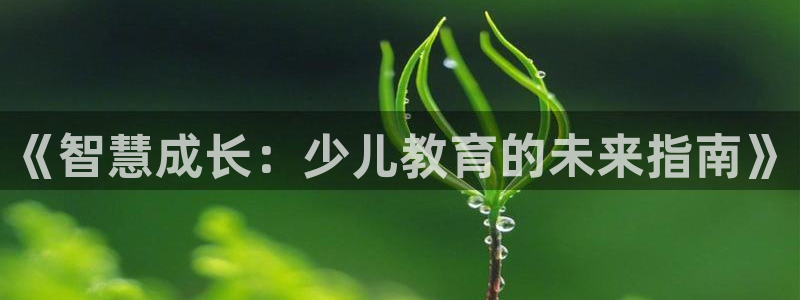 FH至尊平台怎样