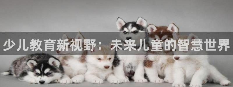 沃尔沃fh至尊旗舰版