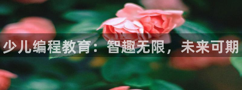 fh至尊是什么牌子