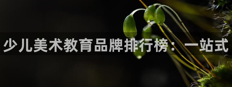 fh至尊吧百度贴吧