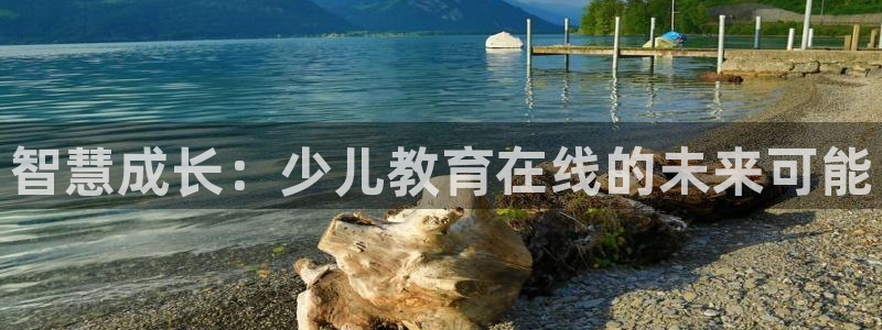 FH至尊登录官网