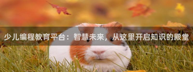 FH至尊登录不了