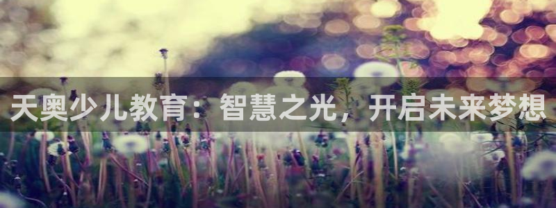 fh至尊多少年了