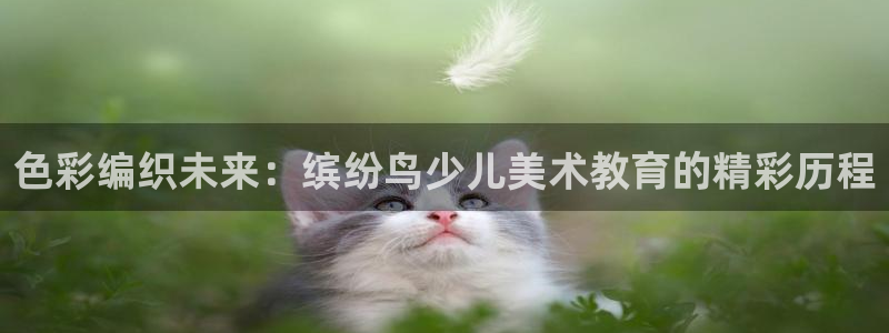 FH至尊属于哪里啊公司