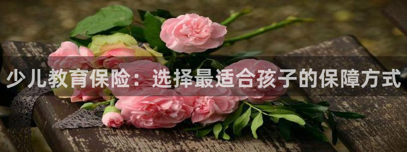 fh至尊平台怎么打不开了呢