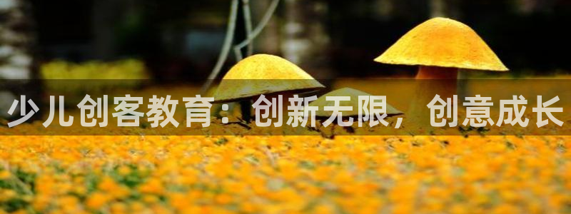 FH至尊娱乐平台