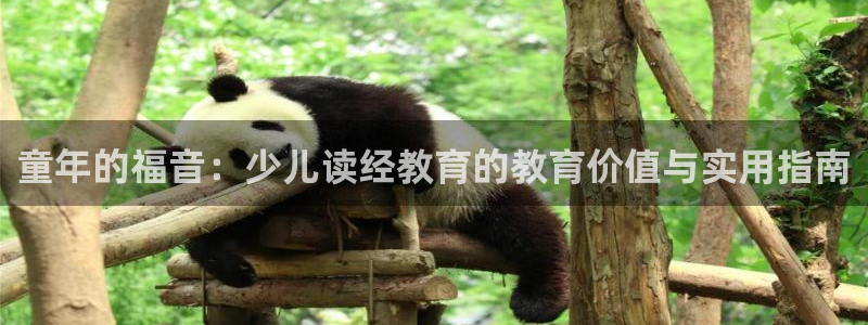 Fh至尊凤凰平台