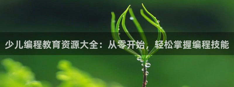 FH至尊平台怎样