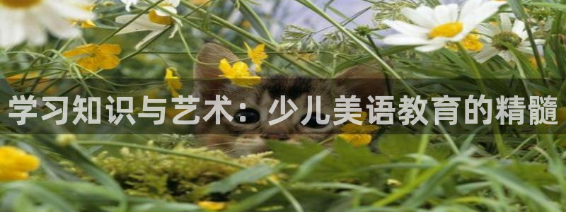 fh至尊平台简介