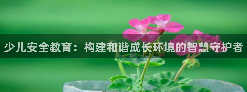 FH至尊平台是什么平台