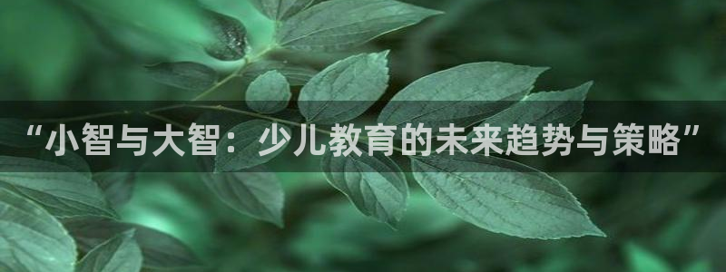 fh至尊平台安全密码忘记了