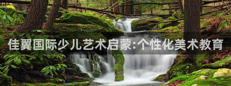 FH至尊登录官网