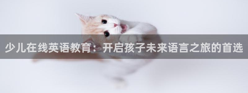 FH至尊登录不了