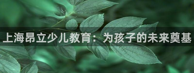 FH至尊登录不了