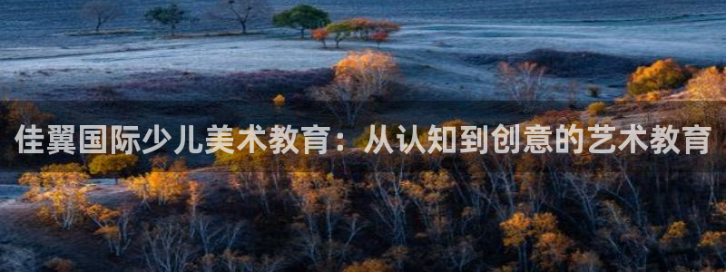 fh凤凰至尊平台