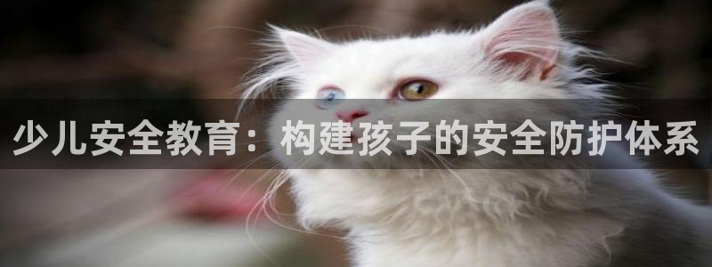 fh至尊游戏客服